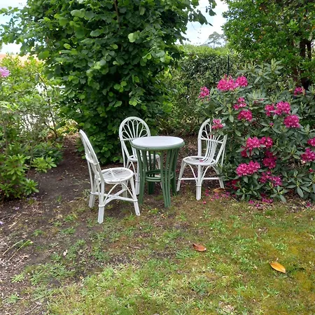 ベッド・アンド・ブレックファスト Maison Familiale Entouree De Verdure Pres D'arcachon, Plages Et Golfs グジャン・メストラ